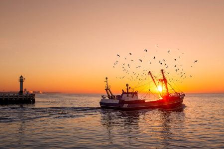 Sunrise Adriatic Sea Fishing
