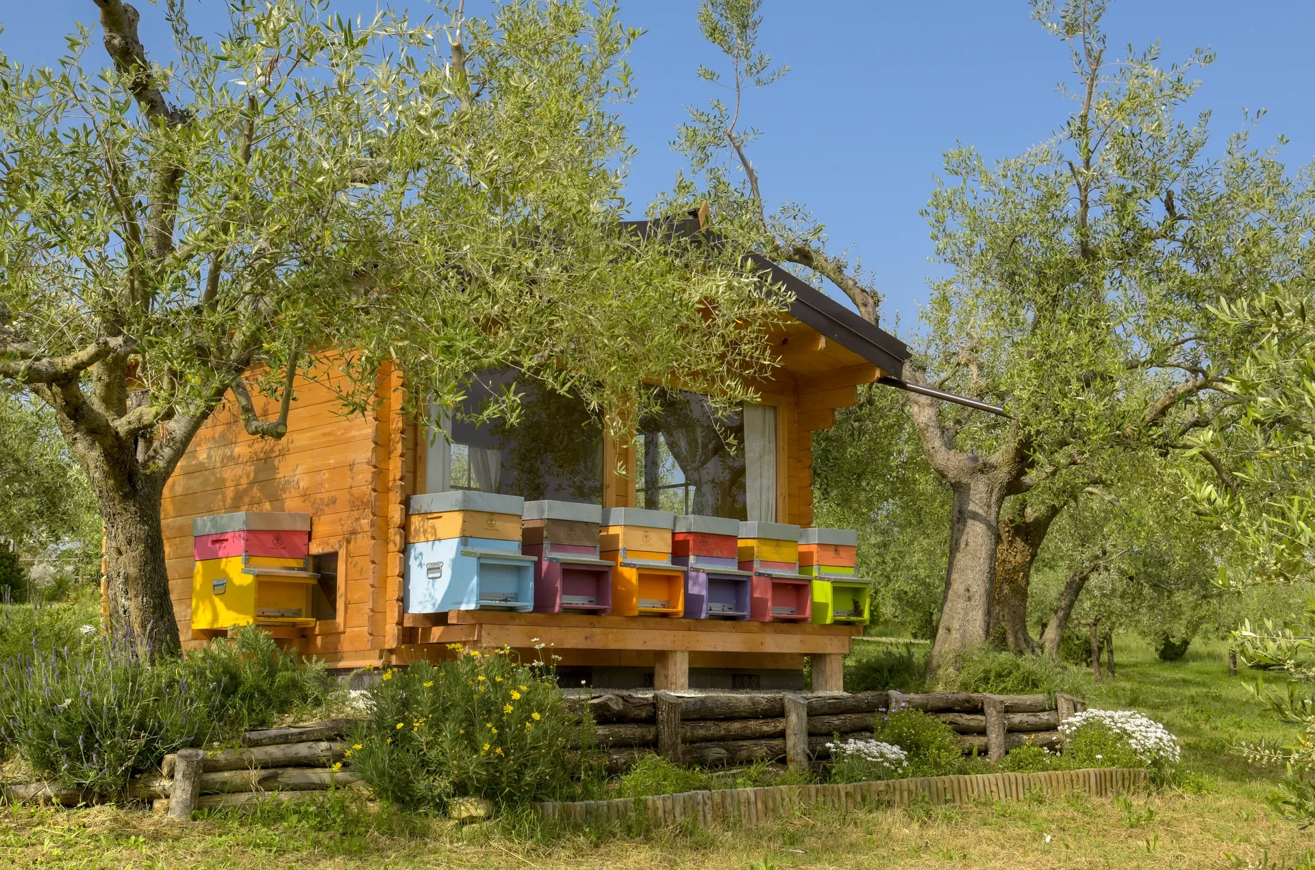 Dining in the Holistic Apiary