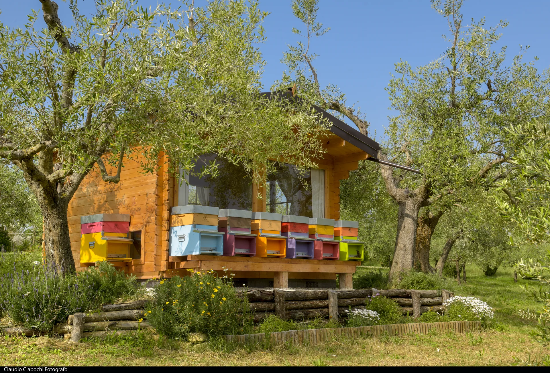 Dining in the Holistic Apiary
