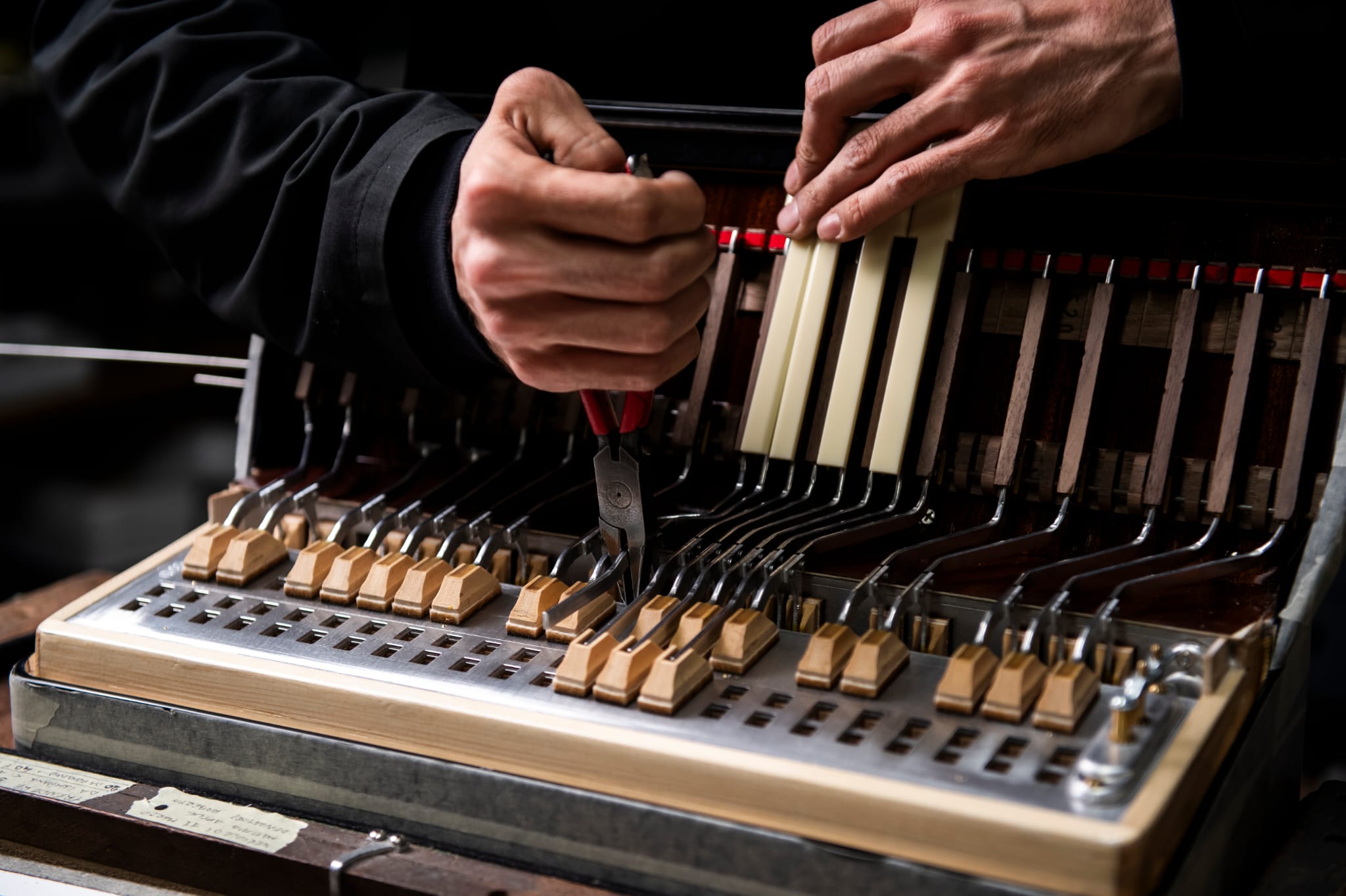 Roots & Flavors: Olive Oil and Accordion Melodies