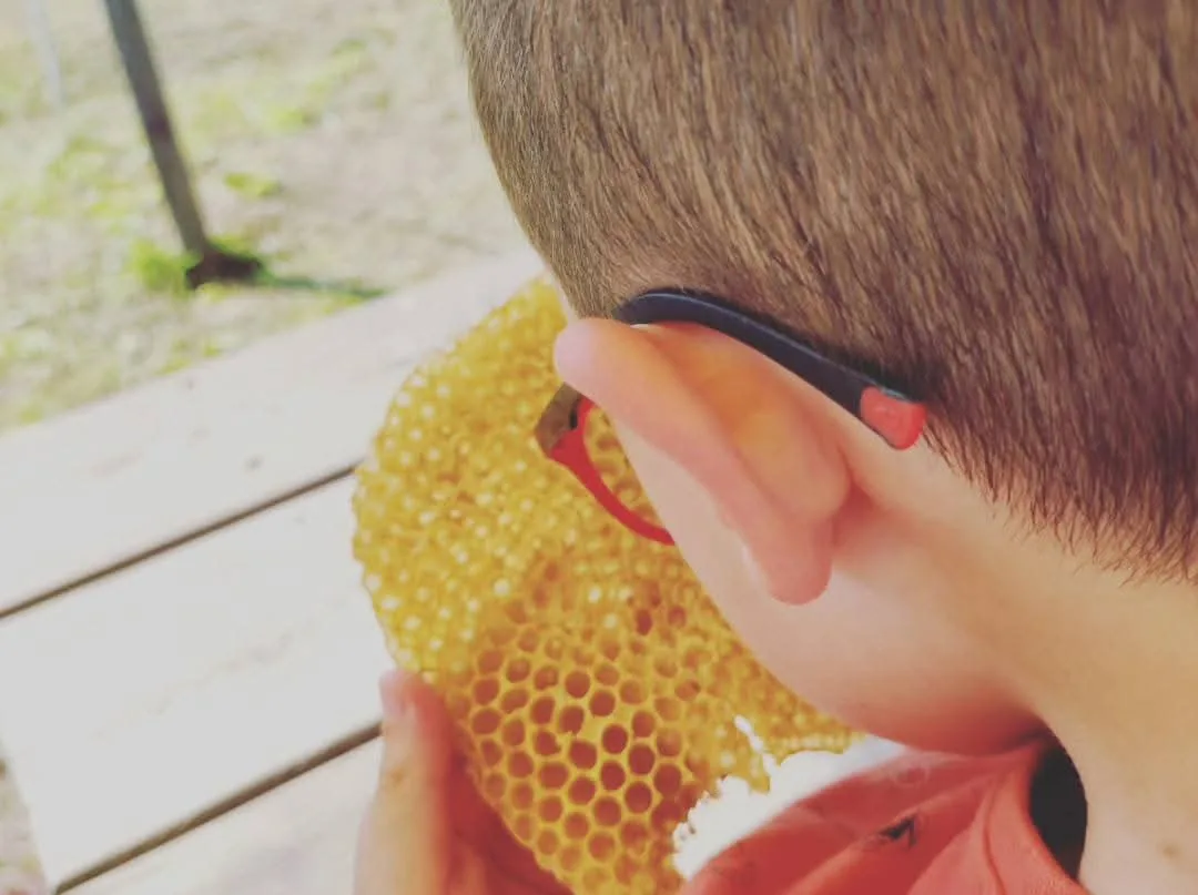 Dining in the Holistic Apiary